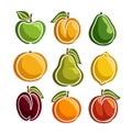 Vector Set colorful Fruits icons