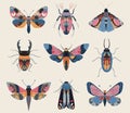 Vector set of colorful insects with hand drawn abstract texture. Beetle, butterfly, moth collection.