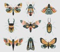 Vector set of colorful insects with hand drawn abstract texture. Beetle, butterfly, moth collection. Royalty Free Stock Photo