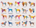 Vector set of colorful mosaic dogs silhouettes-3 Royalty Free Stock Photo