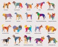 Vector set of colorful mosaic dogs silhouettes-4 Royalty Free Stock Photo