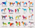 Vector set of colorful mosaic dogs silhouettes-6 Royalty Free Stock Photo