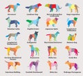 Vector set of colorful mosaic dogs silhouettes-7 Royalty Free Stock Photo