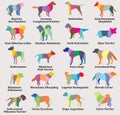 Vector set of colorful mosaic dogs silhouettes-8 Royalty Free Stock Photo