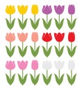 vector set of colorful tulip