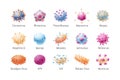 Vector set of common viruses. Models of pathogens