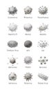 Vector set of common viruses. Models of pathogens Royalty Free Stock Photo