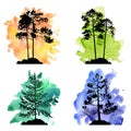 Vector set of conifer trees