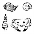 Vector set of crab and shell doodles