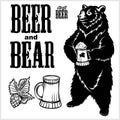 Vector set for craft beer - beer and bear in hand drawn style. isolated on white.