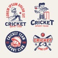 Set of Cricket Logo Collection Vintage Retro