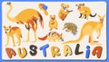 Vector set of cute australian animals with lettering Royalty Free Stock Photo