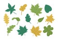 Vector set of cute autumn leaves. Flat style collection with fall greenery. Funny falling maple, oak, chestnut leaf illustration Royalty Free Stock Photo