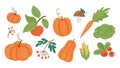 Vector set of cute autumn vegetables, fruit and berry. Flat style collection with pumpkins, carrot, apple, cabbage, corn, Royalty Free Stock Photo