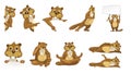 Vector set of cute beavers illustrations.