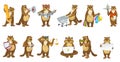 Vector set of cute beavers illustrations.