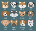 Vector set with cute cartoon dog puppies