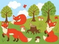 Vector Set of Cute Cartoon Foxes