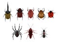Vector set of cute cartoon insects. Crawling insects set - ant, spider, beetle, cockroach, ladybug. Different beetles on