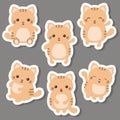 Set of cute cats