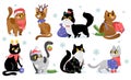 Vector set of cute Christmas cat characters in costumes, isolated on white Royalty Free Stock Photo