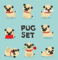 Vector set of cute dogs pugs for cards, banners and posters