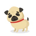 Vector set of cute dogs pugs for cards, banners and posters