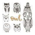 Vector set of cute doodle owls. Birds collection for kids or adult coloring book pages