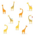 African orange, yellow giraffe in various poses