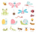 Vector set of cute insects. Funny characters of insects, beetles and invertebrate arthropods, flying and crawling