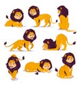 Vector set of cute lion characters in cartoon style isolated on white background Royalty Free Stock Photo