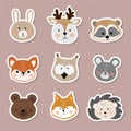 Vector set cute little animals face , baby picture