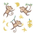 Vector set with cute monkeys with bananas isolated on white background. Funny tropical animals and fruit illustration. Bright flat Royalty Free Stock Photo