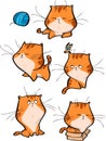 Vector set of cute orange tabby cat characters in different action poses isolated on white background.