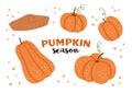 Vector set of cute pumpkins and pie. Autumn vegetables collection. Flat style orange squash pack. Funny veggie illustration Royalty Free Stock Photo