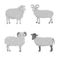 Vector set Cute Sheep and Ram retro illustration. Standing Sheeps silhouette on white. Farm fanny milk young Royalty Free Stock Photo