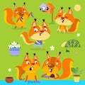 Vector set of cute squirrels. Squirrel runs, sits, plants, communicates, sunbathes. Family collection animals colorful