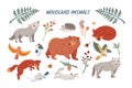 Vector set of cute woodland animals for baby shower and kids design. Collection of forest animals - bear, fox, wolf, rabbit and Royalty Free Stock Photo
