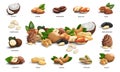 Vector set of 3d realistic icons nuts