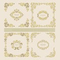 Vector set decorative floral elements, frame