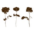 Vector set of decorative rose silhouettes