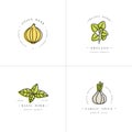 Vector set design colorful templates logo and emblems - herbs and spices. Italian herb icon. Logos in trendy linear