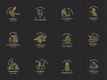 Vector set design golden templates logo and emblems -different tastes and liquids for vape. Fruits and spices icon
