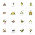 Vector set design templates and emblems - healthy and cosmetics oils. Different natural, organic oils.