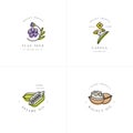 Vector set design templates and emblems - healthy and cosmetics oils - flax seed, walnut, sesame and canola.