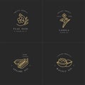 Vector set design templates and emblems - healthy and cosmetics oils - flax seed, walnut, sesame and canola.