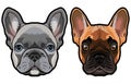 Vector set of french bulldog`s heads illustration