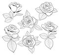 Vector set of detailed, isolated outline Rose bud sketches with leaves in black color. Vector illustration for design