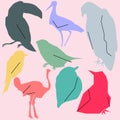 Vector set of different birds