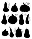 Vector set of different black silhouettes of pumpkins isolated from the background. Autumn harvest. Vegetable shadows Royalty Free Stock Photo